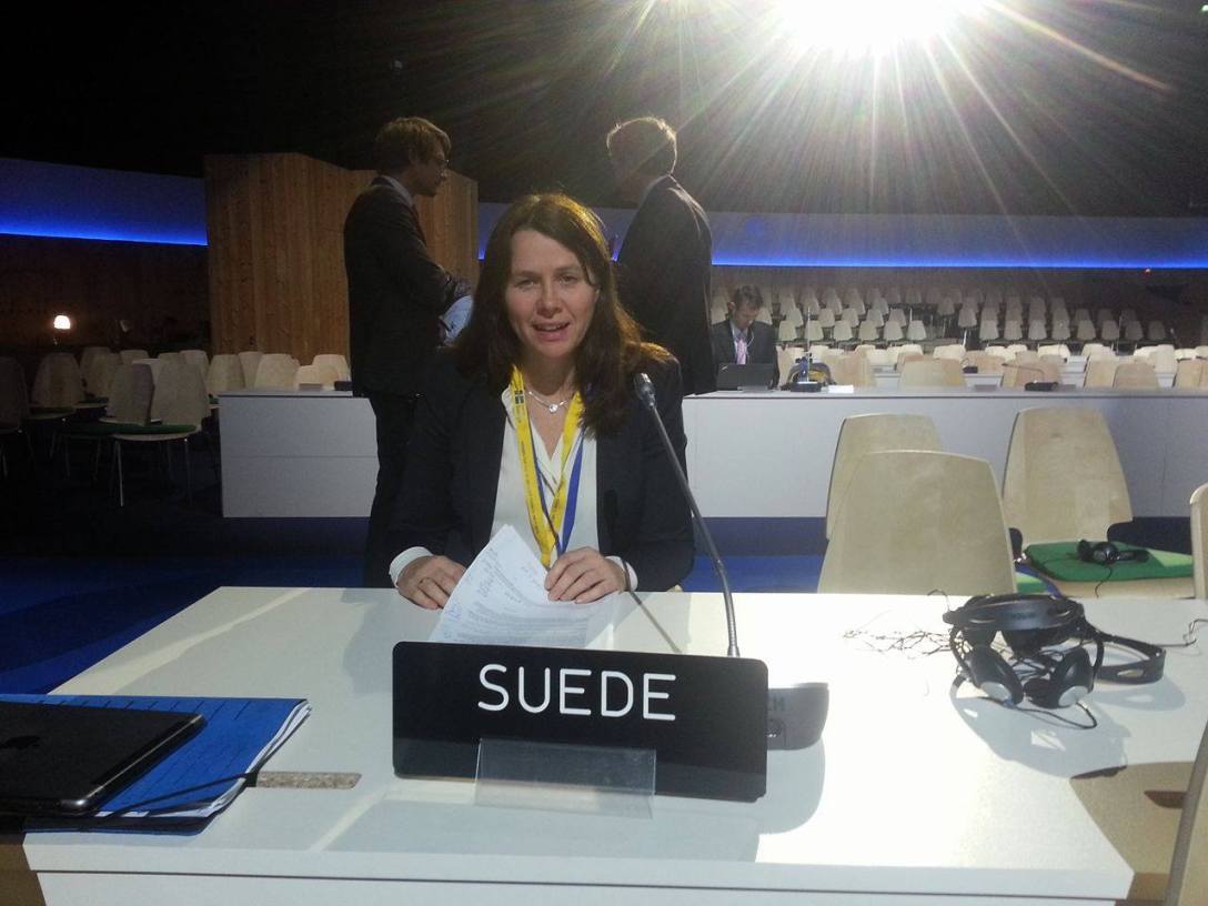 12356195_10156229718390304_1888248027_o