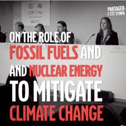 USA: När politiker sviker – tar folket vid