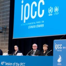 IPCC-rapportens påverkan i förhandlingarna