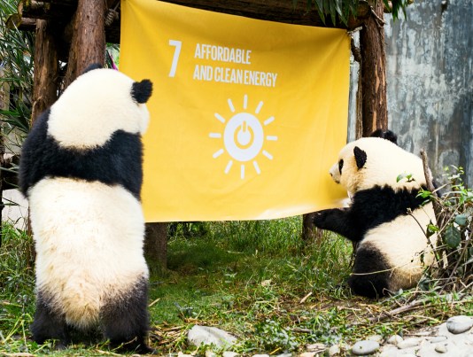Pandas_goal 7