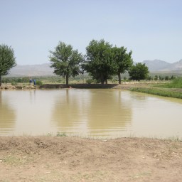 The ecosystem and its importance