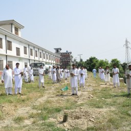 Spring plantation: 0.7 Million plants to counter climate change hazards