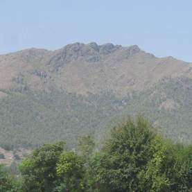 FB_IMG_1556466858582