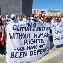 Första veckan på COP27