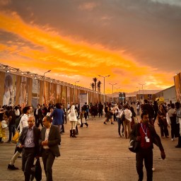 Reflektioner från årets COP