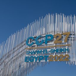 What was COP27?